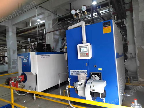 食品廠發(fā)酵罐加熱500kg燃?xì)庹羝l(fā)生器 食品機械設(shè)備網(wǎng)