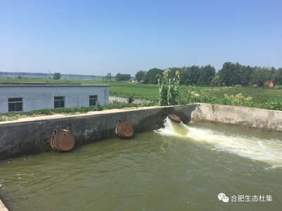 杜集鄉(xiāng):積極保障多舉措,抗旱保苗促成效