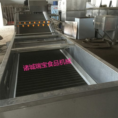 高壓洗果機商用 洗果機商用 瑞寶食品機械