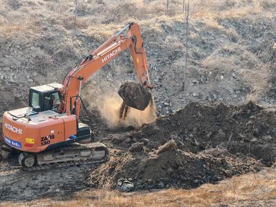 東營黃河麻灣管理段:春意盎然,工程管理正當時